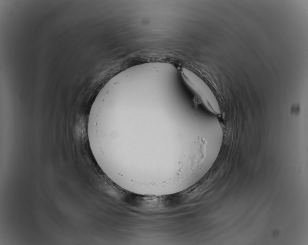 X0000099990335200806201456