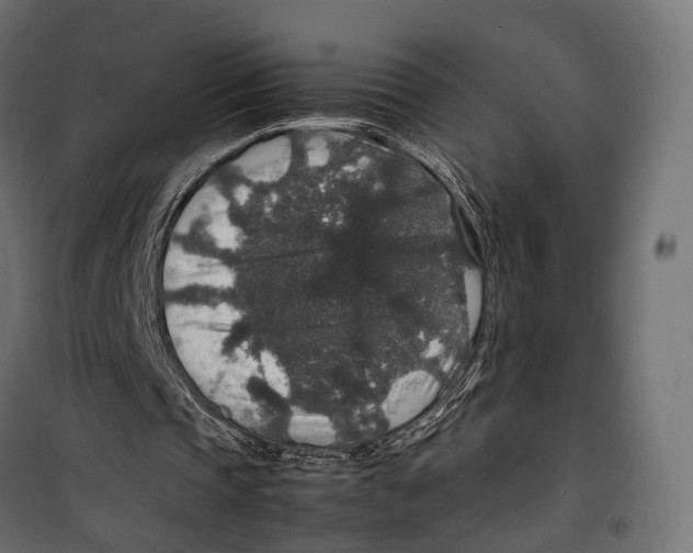 X0000099990337200806201455