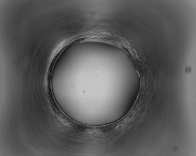 X0000099990340200806201455