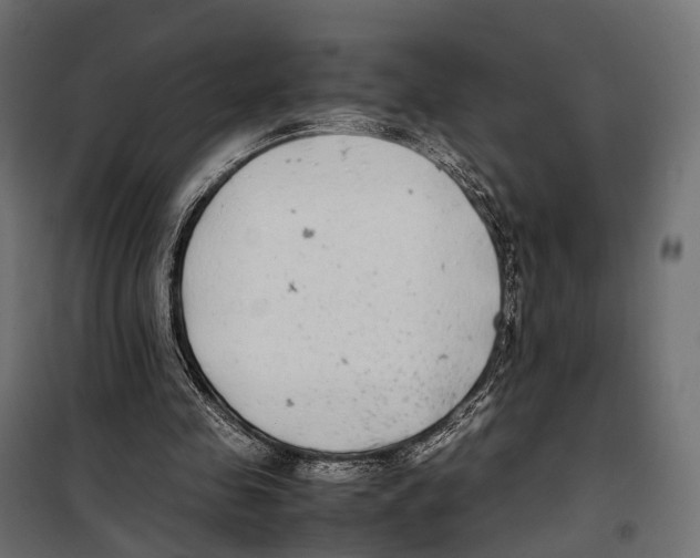 X0000099990341200806201455