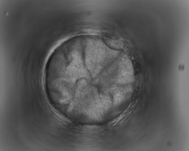 X0000099990342200806201455