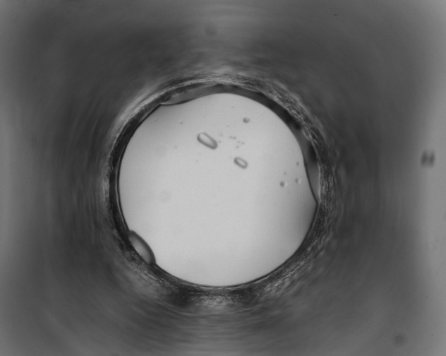 X0000099990344200806201455