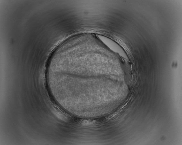 X0000099990346200806201455