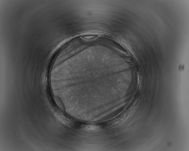 X0000099990348200806201455