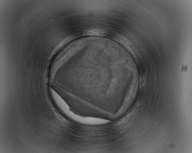 X0000099990349200806201455