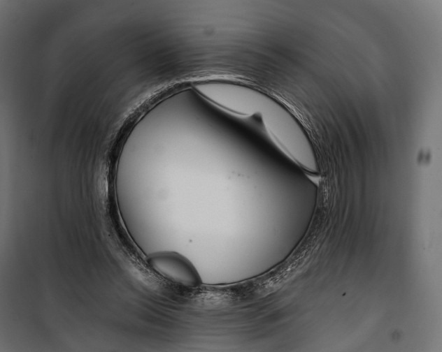 X0000099990350200806201455