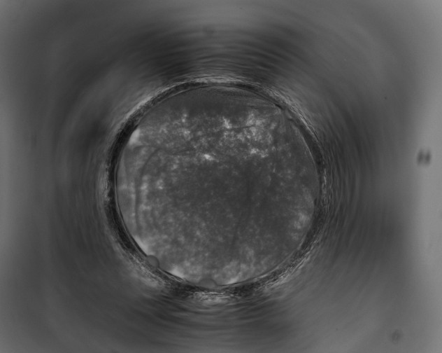 X0000099990351200806201455