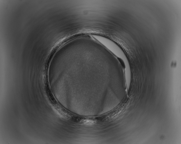 X0000099990352200806201455