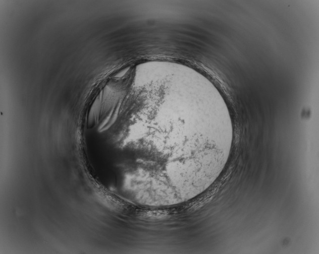 X0000099990353200806201455