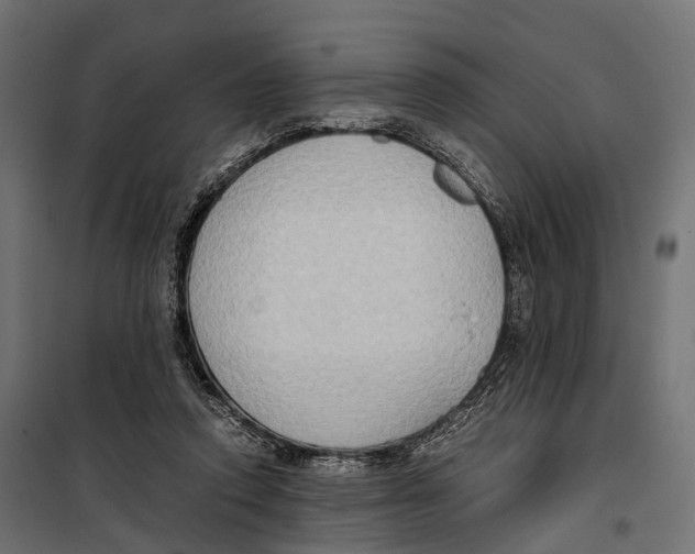 X0000099990354200806201455