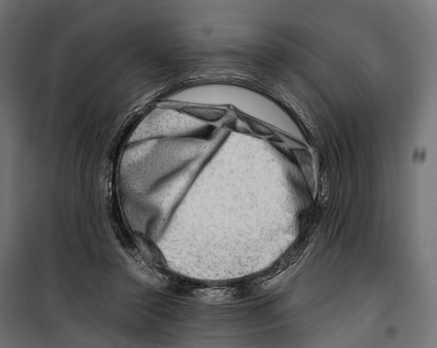 X0000099990356200806201455