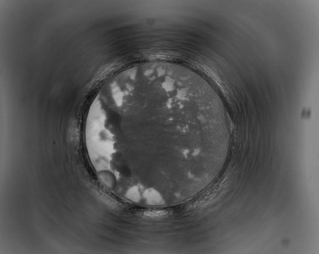 X0000099990357200806201455