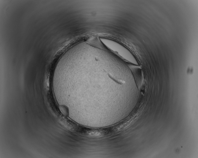 X0000099990358200806201455