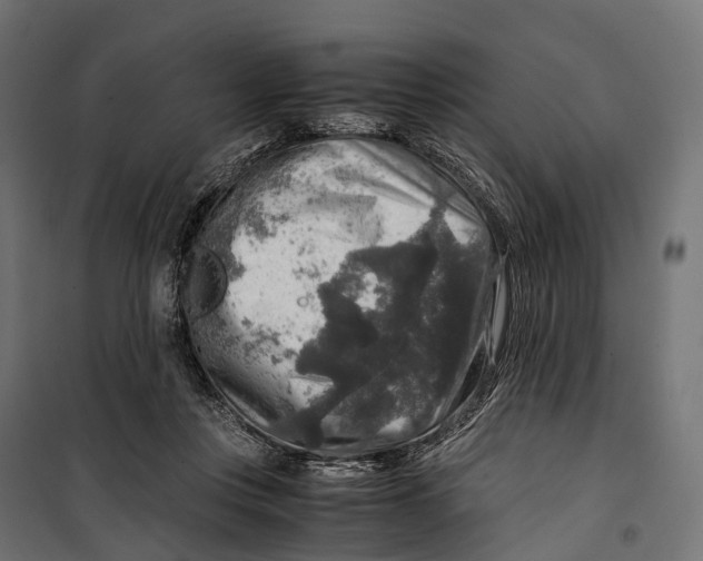 X0000099990359200806201455