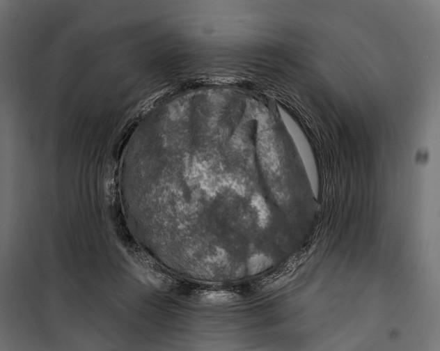 X0000099990360200806201455