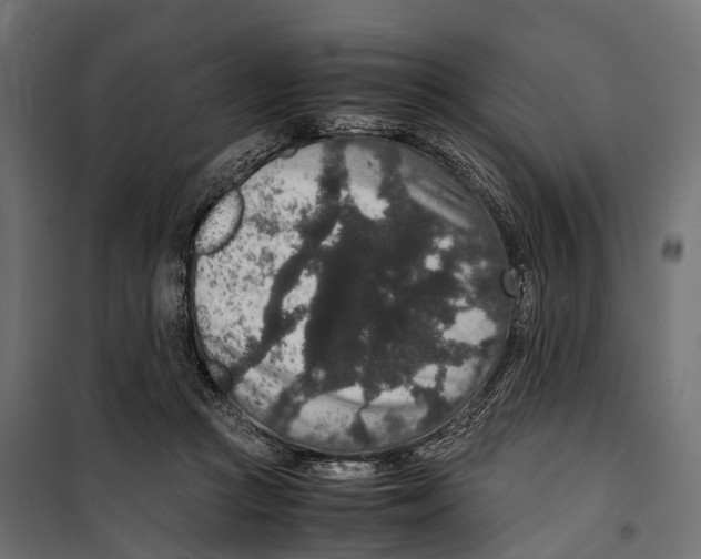 X0000099990361200806201455