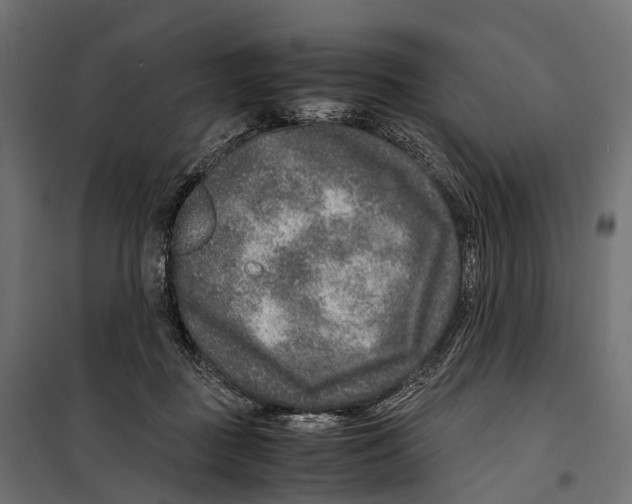 X0000099990363200806201455