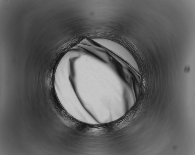 X0000099990364200806201455