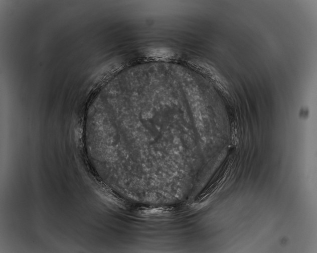 X0000099990365200806201455