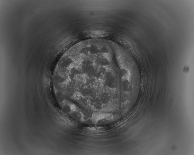 X0000099990367200806201455