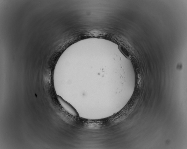 X0000099990368200806201455