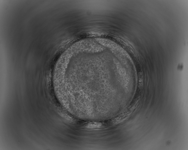 X0000099990369200806201455