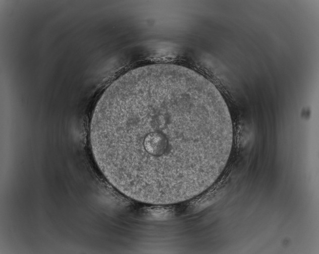 X0000099990370200806201455