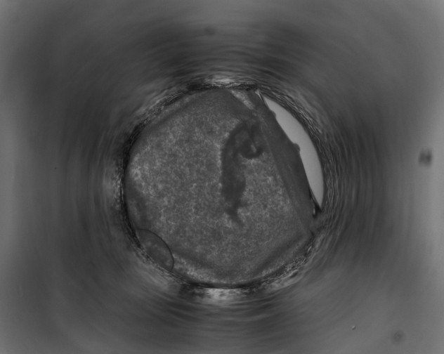 X0000099990371200806201455