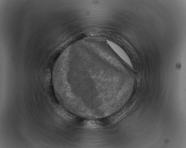 X0000099990372200806201455