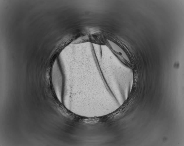 X0000099990373200806201455