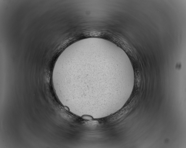 X0000099990374200806201455