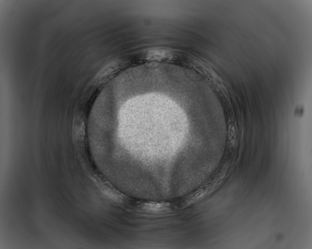 X0000099990375200806201455