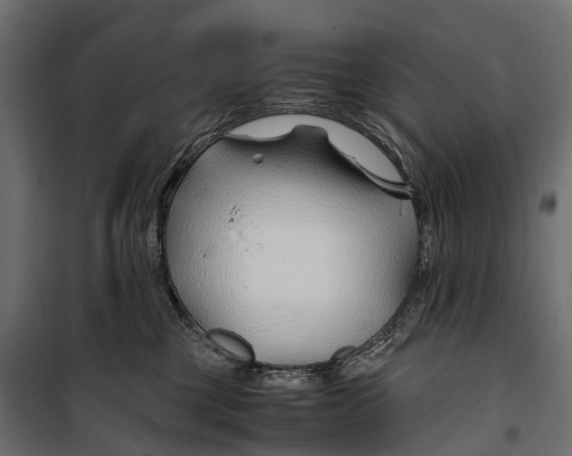 X0000099990377200806201456