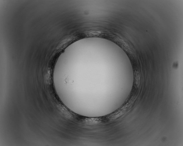 X0000099990378200806201456