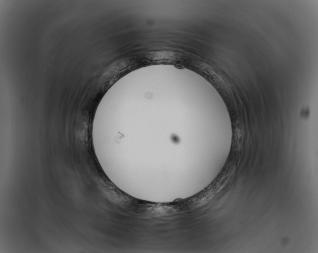 X0000099990379200806201456