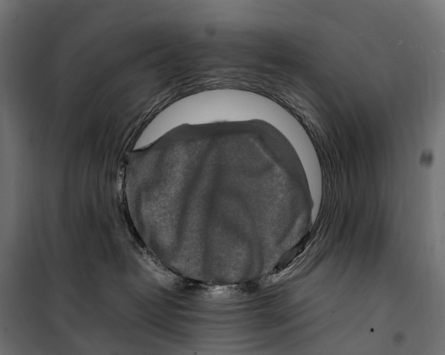 X0000099990382200806201456