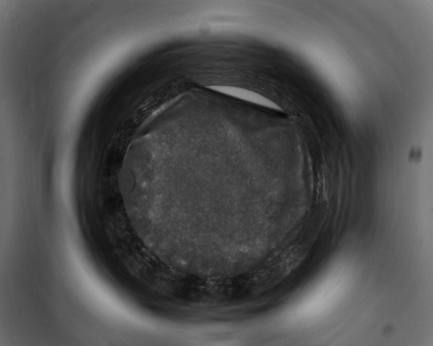 X0000099990383200806201456