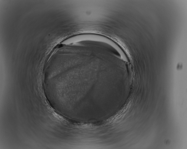 X0000099990385200806201455