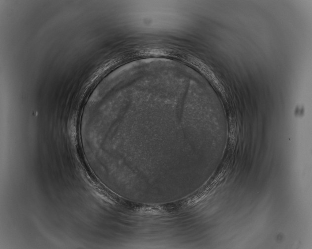 X0000099990386200806201455