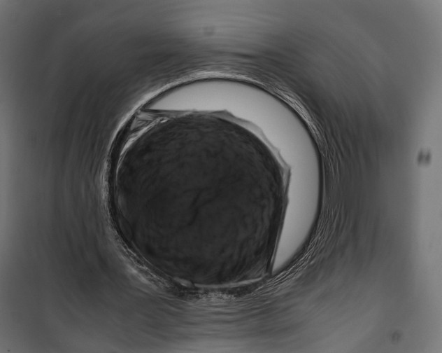 X0000099990387200806201455