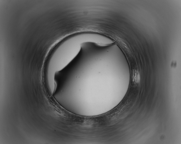 X0000099990388200806201455