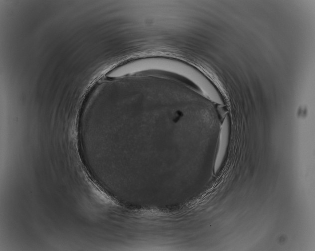 X0000099990389200806201455