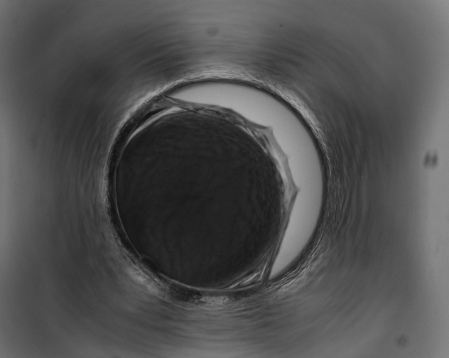 X0000099990391200806201455