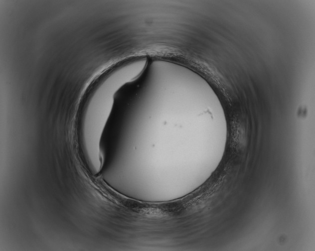 X0000099990392200806201455