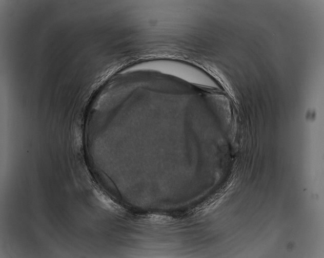 X0000099990393200806201455