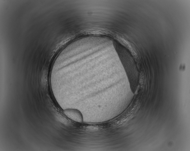 X0000099990394200806201455