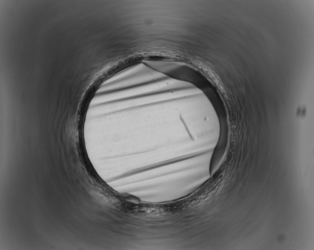 X0000099990395200806201455