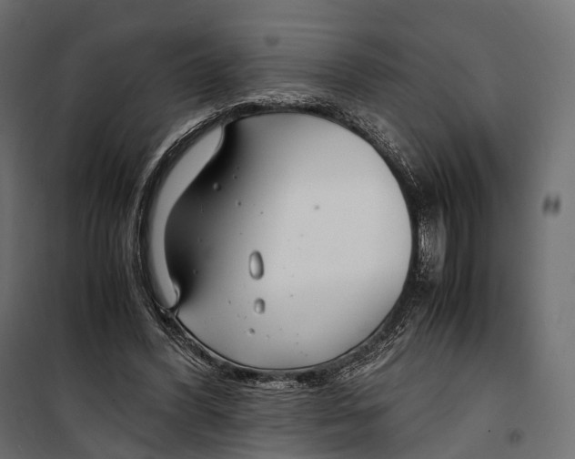 X0000099990396200806201455