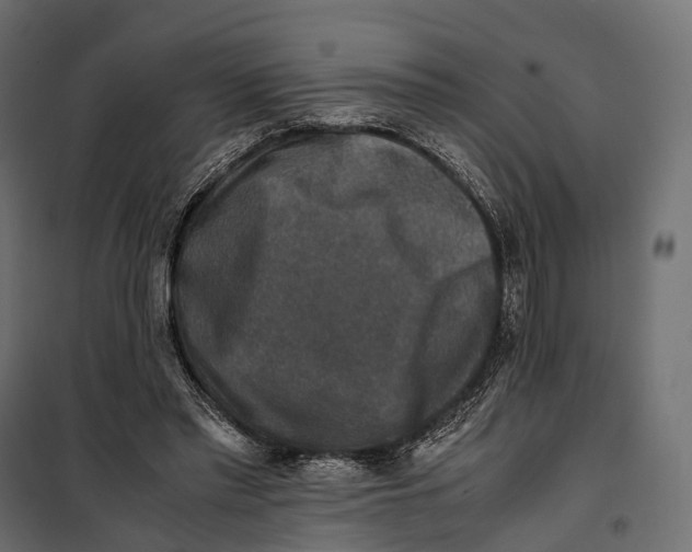 X0000099990397200806201455