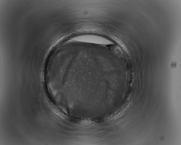 X0000099990399200806201455